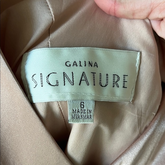 Signature Satin Blush Dress - Picture 6 of 6